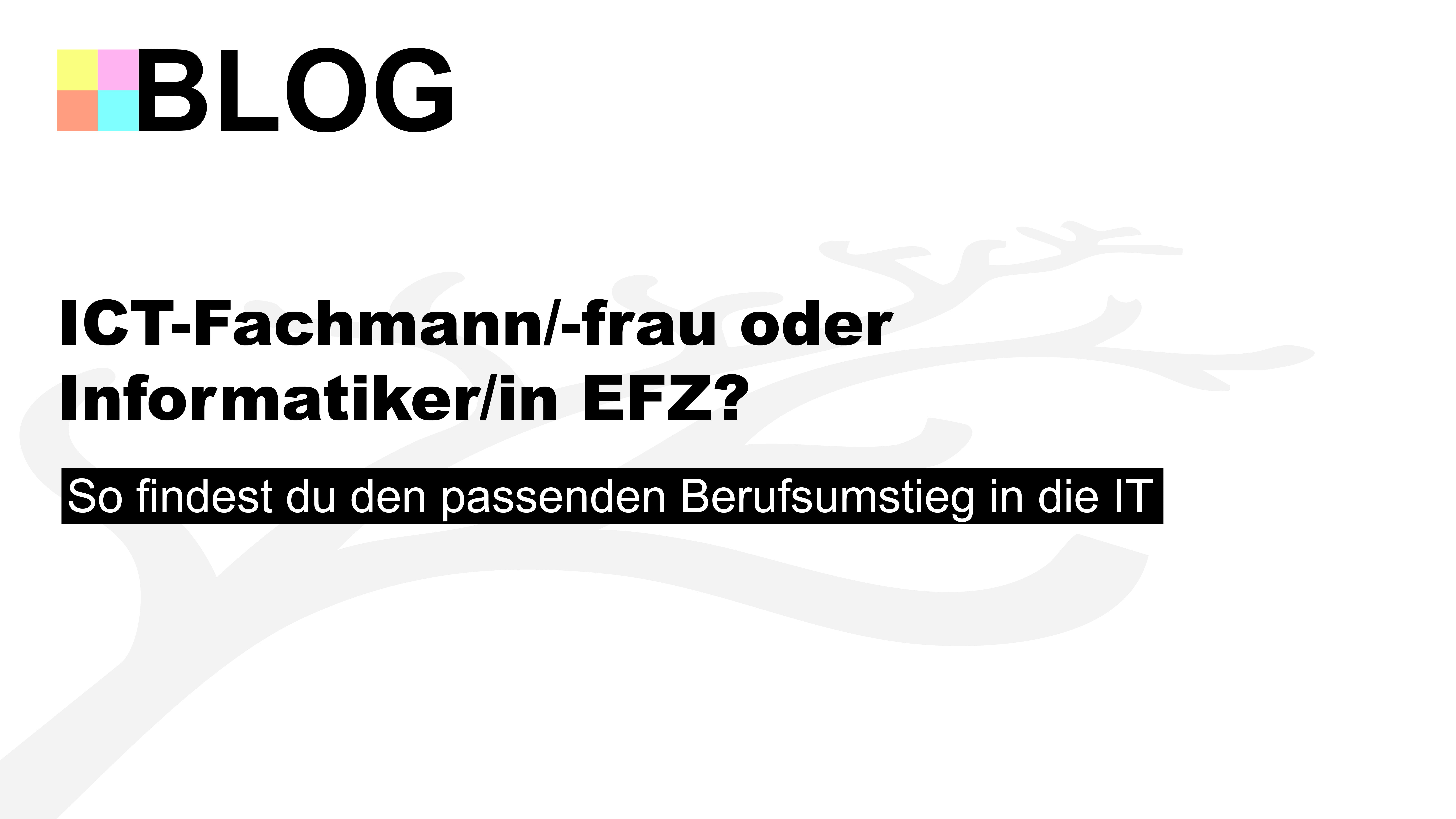 ICT Fachmann/-frau oder Informatiker/in EFZ? Finde es heraus.